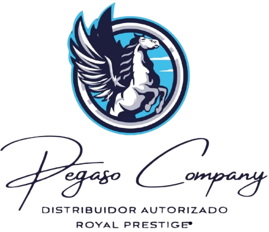 Pegaso Company